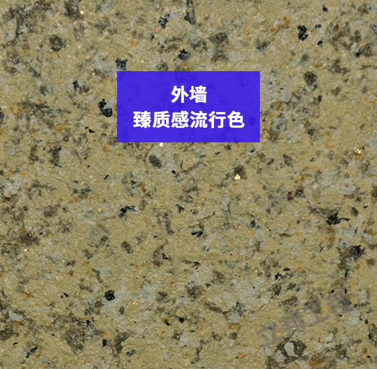 外墻-臻質(zhì)感流行色